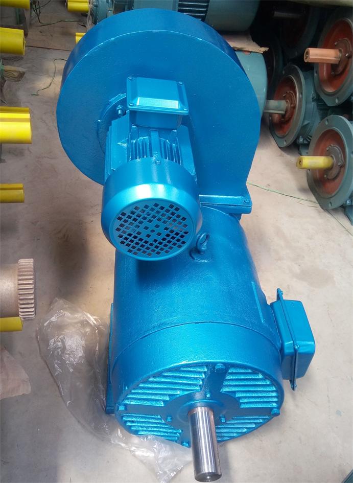 山東力矩電機(jī)廠(chǎng)家